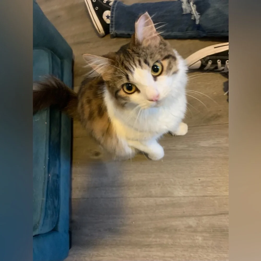 Get to know EzmeCrafts  🫶🏼 - Picture 4 of 8